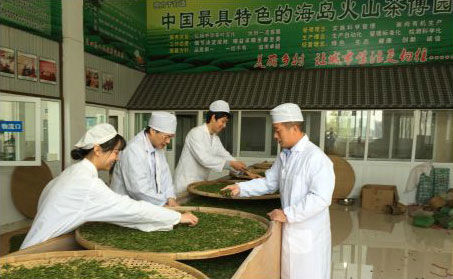 浙江大學(xué)湯一教授親自帶團隊來火山茶基地支持火山紅茶研發(fā)。